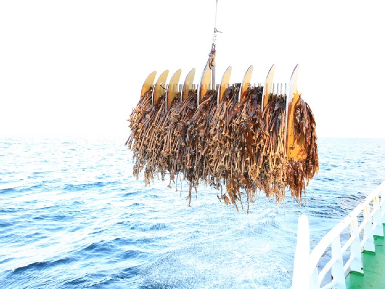 Nowy program na rzecz ochrony oceanów